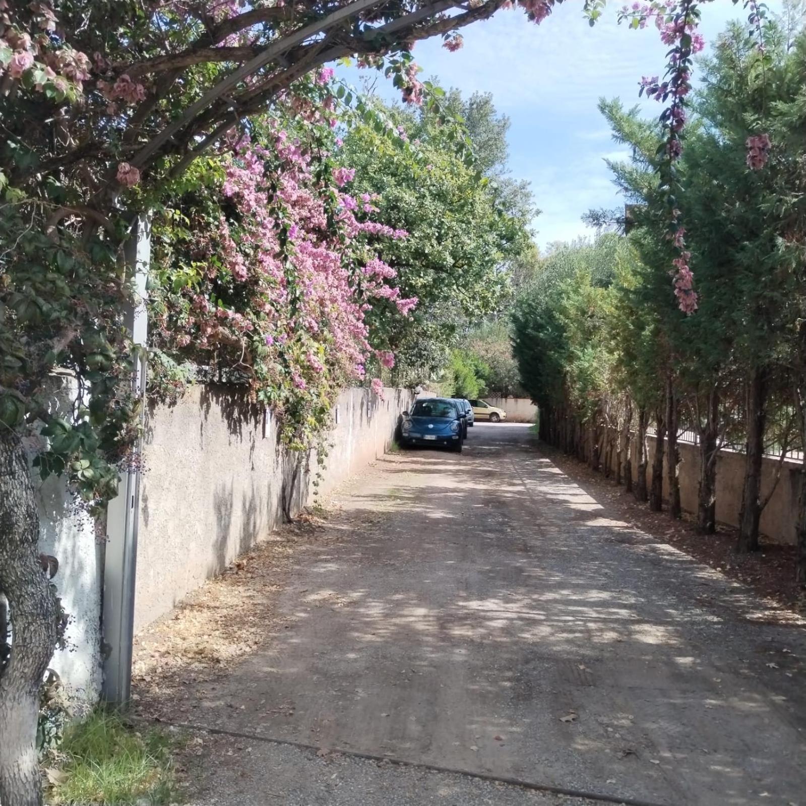 Residence Villa Andrea Marina di Camerota Εξωτερικό φωτογραφία